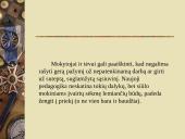 Pedagoginiai invariantai 20 puslapis