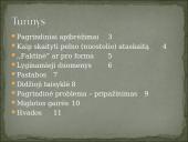 Pelno (nuostolio) ataskaitos kodo iššifravimas. Pajamos 2 puslapis