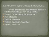 Pelno (nuostolio) ataskaitos kodo iššifravimas. Pajamos 4 puslapis