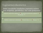 Pelno (nuostolio) ataskaitos kodo iššifravimas. Pajamos 6 puslapis