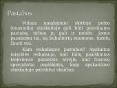 Pelno (nuostolio) ataskaitos kodo iššifravimas. Pajamos 7 puslapis