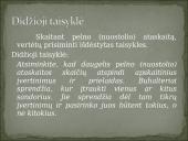 Pelno (nuostolio) ataskaitos kodo iššifravimas. Pajamos 8 puslapis