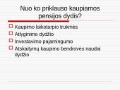 Pensijų sistemos reformos Lietuvoje analizė 12 puslapis