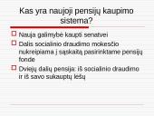 Pensijų sistemos reformos Lietuvoje analizė 4 puslapis