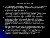 Personalo motyvavimas ir kompensavimas 3 puslapis
