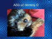 Pinigų ir bankų sąsaja 16 puslapis