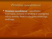 Pirminiai nusodintuvai. Antriniai nusodintuvai 2 puslapis