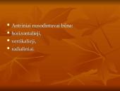 Pirminiai nusodintuvai. Antriniai nusodintuvai 9 puslapis