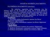 Plaštakos anatomija 17 puslapis