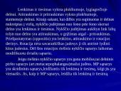 Plaštakos anatomija 3 puslapis