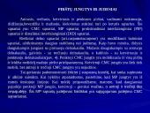 Plaštakos anatomija 7 puslapis