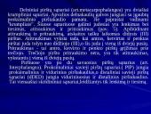 Plaštakos anatomija 9 puslapis