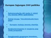 Plėtros ekonomika 10 puslapis