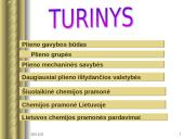 Plienas – svarbiausia juodosios metalurgijos produkcija. Šiuolaikinė chemijos pramonė 3 puslapis
