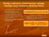 Plokštumos vektoriai 11 puslapis