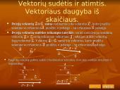 Plokštumos vektoriai 4 puslapis