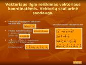 Plokštumos vektoriai 10 puslapis