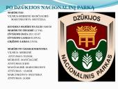 Po Dzūkijos nacionalinį parką