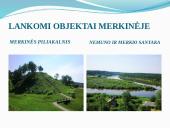 Po Dzūkijos nacionalinį parką 2 puslapis