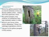 Po Dzūkijos nacionalinį parką 7 puslapis