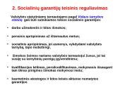 Policijos pareigūnų socialinės garantijos 11 puslapis