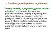 Policijos pareigūnų socialinės garantijos 10 puslapis