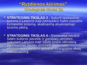 Politika - rytdienos kūrėja. Turizmo politikos aspektu 16 puslapis