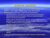 Politika - rytdienos kūrėja. Turizmo politikos aspektu 10 puslapis