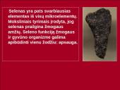 Polonis. Selenas. Telūras 16 puslapis