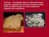 Polonis. Selenas. Telūras 17 puslapis