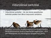 Organizmų populiacijos 13 puslapis