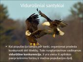 Organizmų populiacijos 15 puslapis