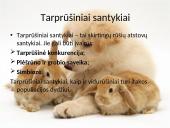 Organizmų populiacijos 16 puslapis