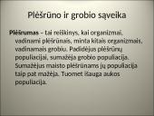 Organizmų populiacijos 18 puslapis