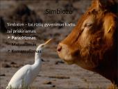 Organizmų populiacijos 20 puslapis