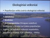 Organizmų populiacijos 3 puslapis