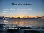 Organizmų populiacijos 4 puslapis