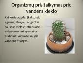 Organizmų populiacijos 7 puslapis