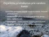 Organizmų populiacijos 8 puslapis