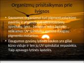 Organizmų populiacijos 9 puslapis