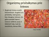 Organizmų populiacijos 10 puslapis