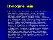 Populiacijos. Abiotiniai ekologiniai veiksniai ir organizmų prisitaikymas prie jų 13 puslapis