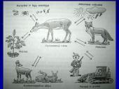 Populiacijos. Abiotiniai ekologiniai veiksniai ir organizmų prisitaikymas prie jų 15 puslapis