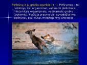 Populiacijos. Abiotiniai ekologiniai veiksniai ir organizmų prisitaikymas prie jų 10 puslapis