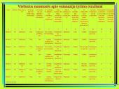 Požiūris į eutanaziją Lietuvoje 10 puslapis