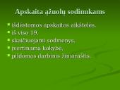 Praktikos ataskaita: Braznavos medelynas 11 puslapis