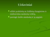 Praktikos ataskaita: Braznavos medelynas 3 puslapis