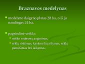 Praktikos ataskaita: Braznavos medelynas 5 puslapis