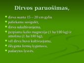 Praktikos ataskaita: Braznavos medelynas 7 puslapis