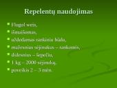 Praktikos ataskaita: Braznavos medelynas 8 puslapis